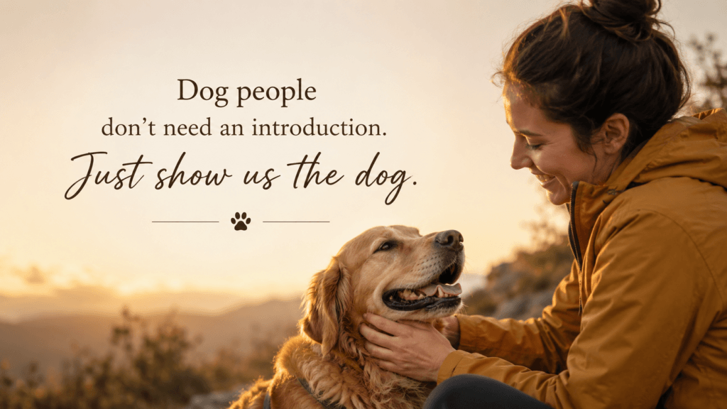 dogs first