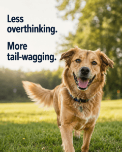 less-overthinking-more-tail-wagging-dog