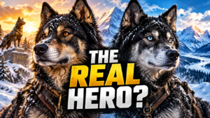Balto and Togo